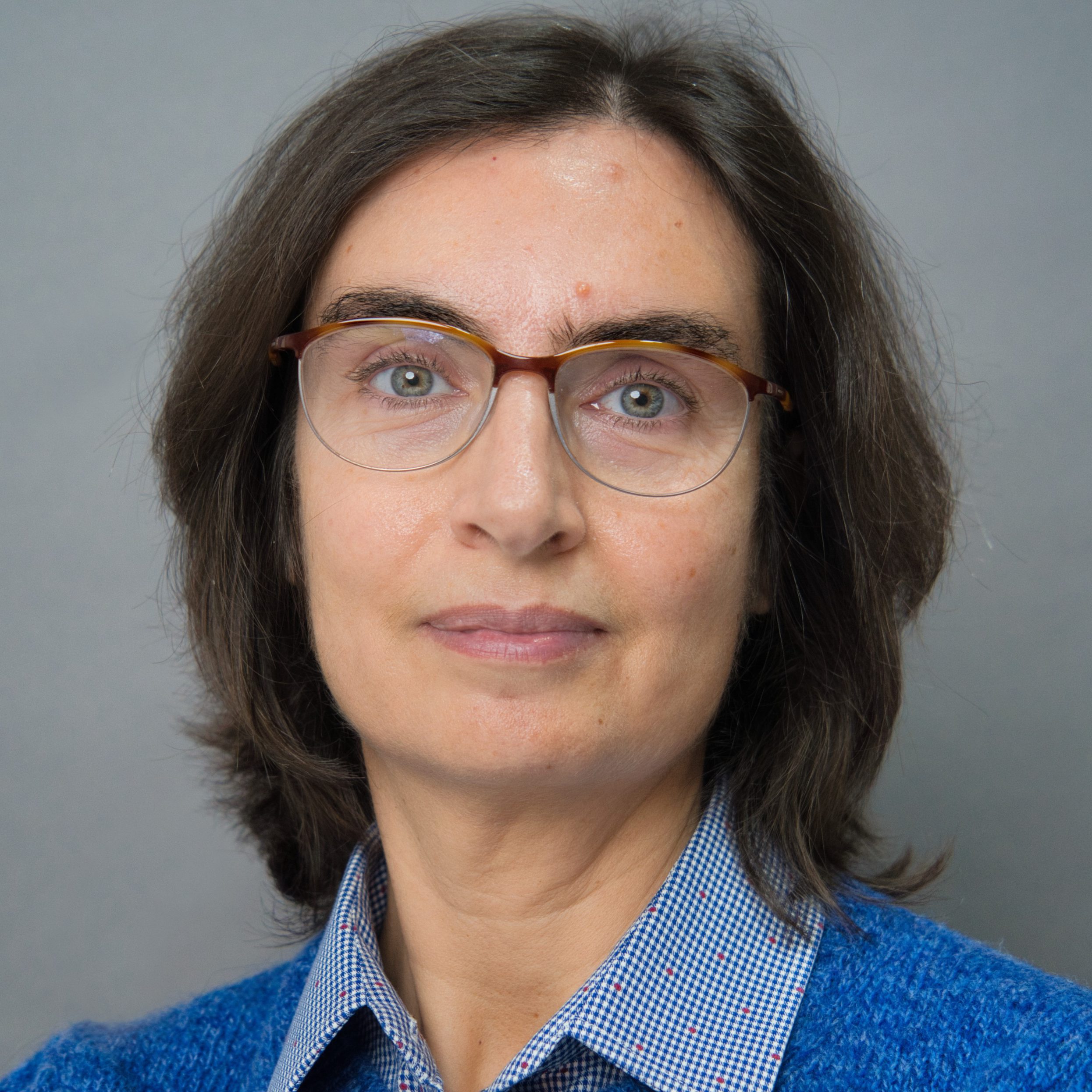 Ana Teresa Timóteo (NMS|FCM)